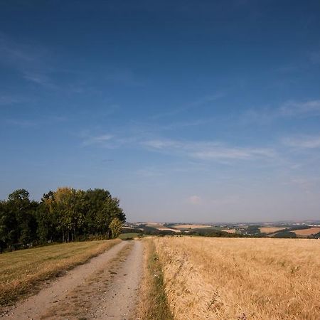 Landgasthof Dittersdorfer Hoehe Amtsberg Eksteriør bilde