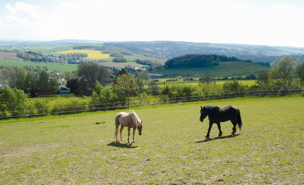 Landgasthof Dittersdorfer Hoehe Amtsberg Eksteriør bilde