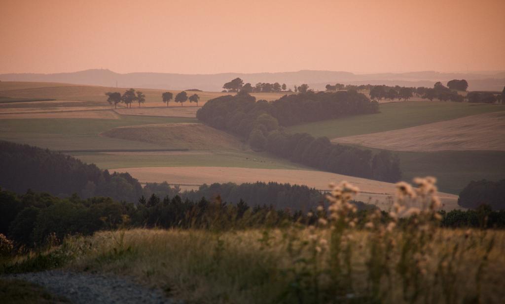 Landgasthof Dittersdorfer Hoehe Amtsberg Eksteriør bilde